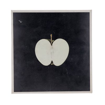 framed photograph of an apple cut in half on a black background