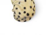 a dalmatian cat figurine sitting on a white surface