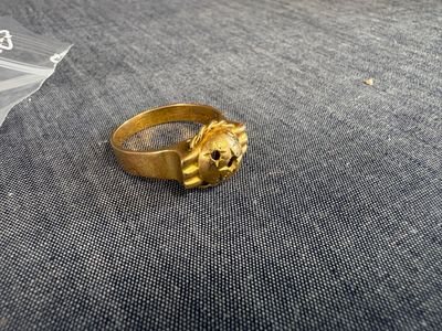a close up of a gold ring with a lion head on it