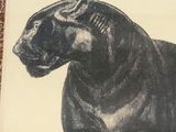 a picture of a black dog with goggles on it ' s head