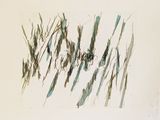 a picture of a drawing of a line of grass