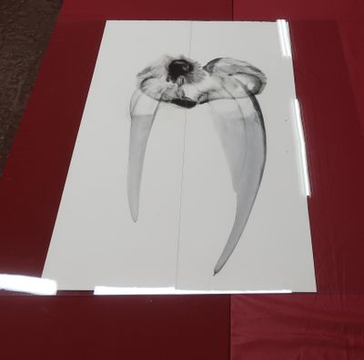 a picture of a picture of a tooth on a table