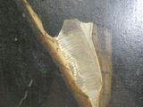 un tableau représentant une banane et une peau de banane posées sur une table