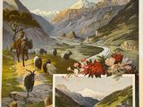 an image of a poster of a mountain scene with cattle and a man on a horse