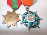 two medals on a white table with a red, green, and blue ribbon