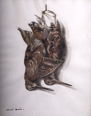 un dessin représentant un oiseau couché par terre