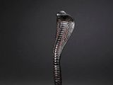an image of a black cobra statue on a dark background