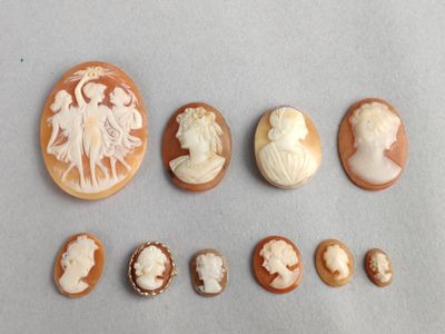 Lot de 10 camées sur coquillage non montés (profils féminins…