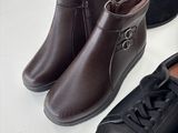 Photo 3/10 du lot