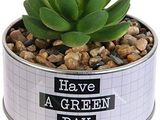 a small pot with a plant in it that says have a green day