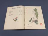 un livre ouvert contenant des dessins de fleurs et de plantes