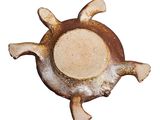 a picture of a turtle shaped bowl on a white background