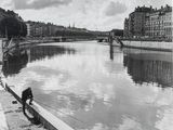 Photo 1/3 du lot