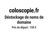 Photo 1/1 du lot