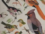 a lot of birds that are sitting on a tree branch