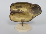 an image of a bronze shell on a marble base