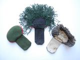 three items that are laying out on the table