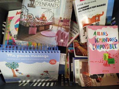 Lot de livres - MULTI-ÉDITEURS - Littérature guides et décor…