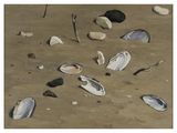 a painting of rocks and shells on the beach