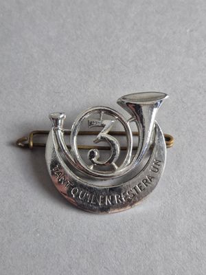 une broche en argent sur laquelle sont représentés une corne et un marteau