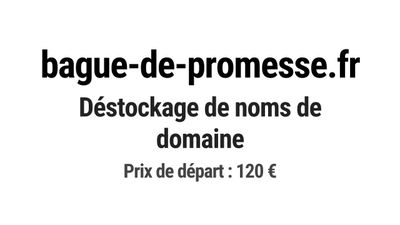 Nom de domaine bague-de-promesse.