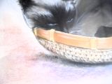 a cat that is sleeping in a basket on the floor