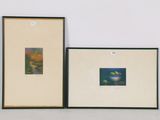 deux tableaux encadrés sur le mur d'une pièce