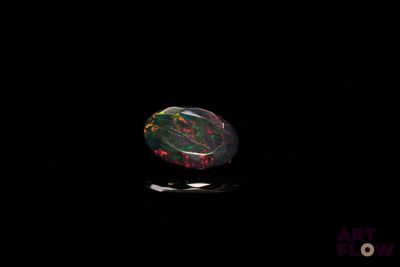 a black oplite in the dark with a black background