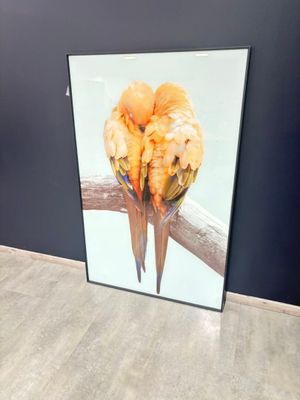 Impression encadrée sous verre « couple de perruches » (pas … - Photo 1