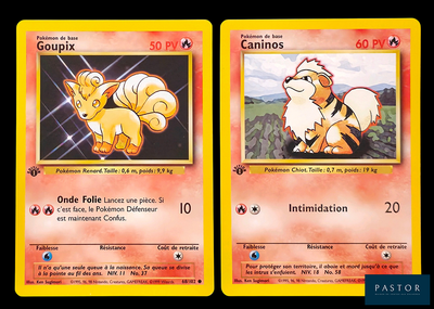 deux cartes Pokémon sur lesquelles figurent un chat et un chien