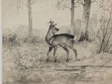 a drawing of a deer that is standing in the grass
