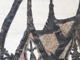 a picture of a black and white picture of a bra