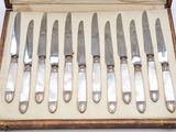 eight knives in a box with a case on the table