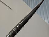 a very large horn with a long horn sticking out of it ' s side