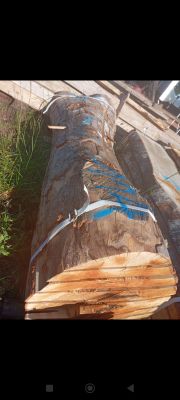 un gros morceau de bois posé par terre
