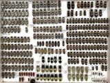 a display of many different beetles in a white frame
