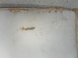 a piece of paper that has been left on the floor