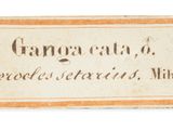 a close up of a label on a piece of paper with writing on it