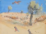 two birds that are standing in the dirt