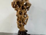 a sculpture of a skull on a pedestal in a room