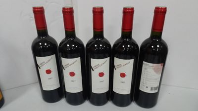 5 Bts Haut Médoc. Larose Saint Laurent.