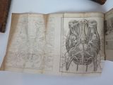 a book with a drawing of a human body on it