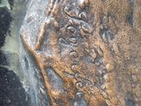 an image of a close up of a metal object