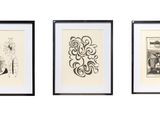three framed pictures of different types of artwork on a wall