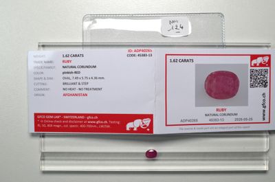 une fausse carte d'identité sur laquelle figure la photo d'un éléphant