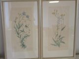 deux photos encadrées de fleurs sauvages accrochées au mur