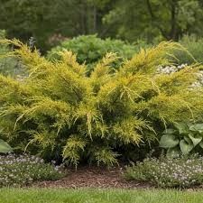 Destockage & Invendus