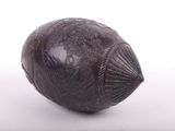 a close up of a fruit on a white surface