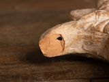 a close up of a wooden animal head on a table
