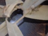 a close up of a piece of luggage with a tie on it